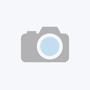 Voreingestelltes Bild